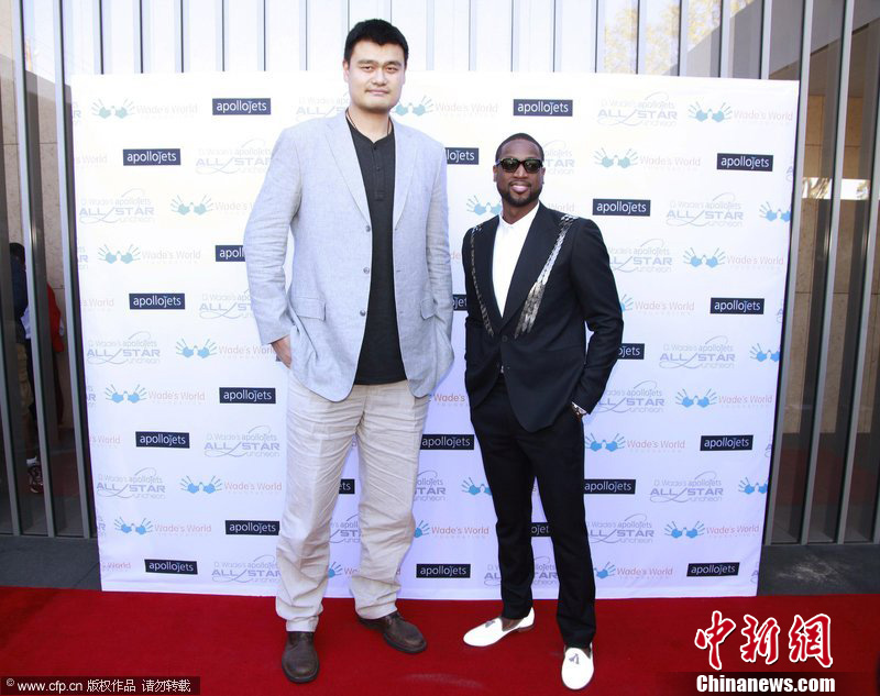 维罗纳试图 维罗纳试图